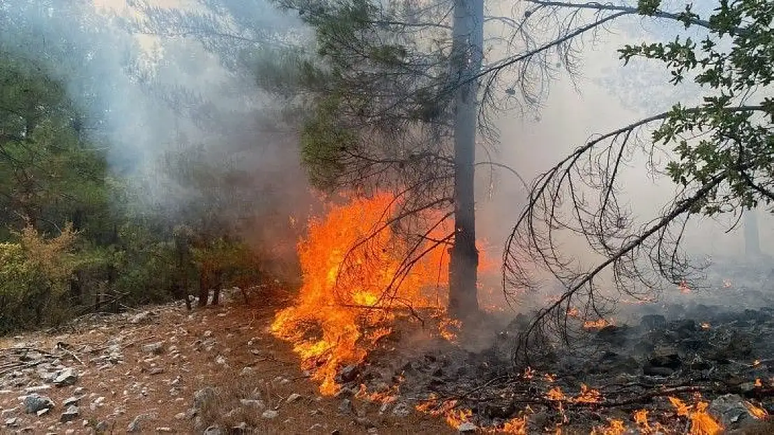 Muğla'da 3 günde 37 yıldırım yangını