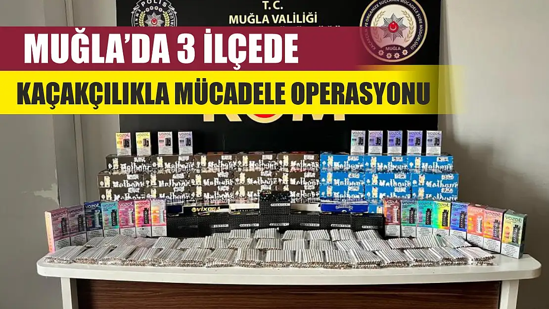 Muğla'da 3 ilçede kaçakçılıkla mücadele operasyonu