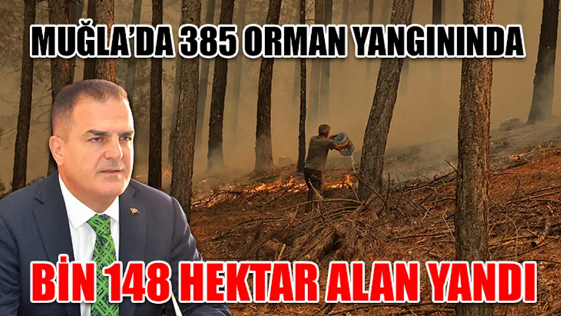 Muğla'da 385 orman yangınında bin 148 hektar alan yandı