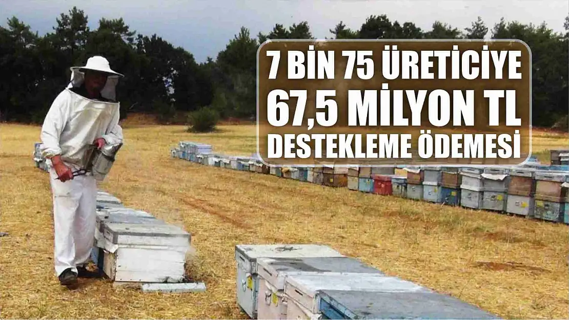 Muğla'da 7 bin 75 üreticiye 67,5 milyon TL destekleme ödemesi