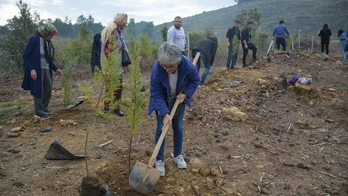 Muğla'da ağaçlandırma seferberliği