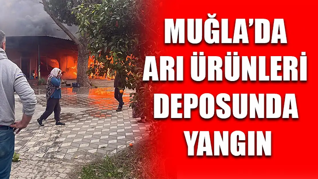 Muğla'da arı ürünleri deposunda yangın