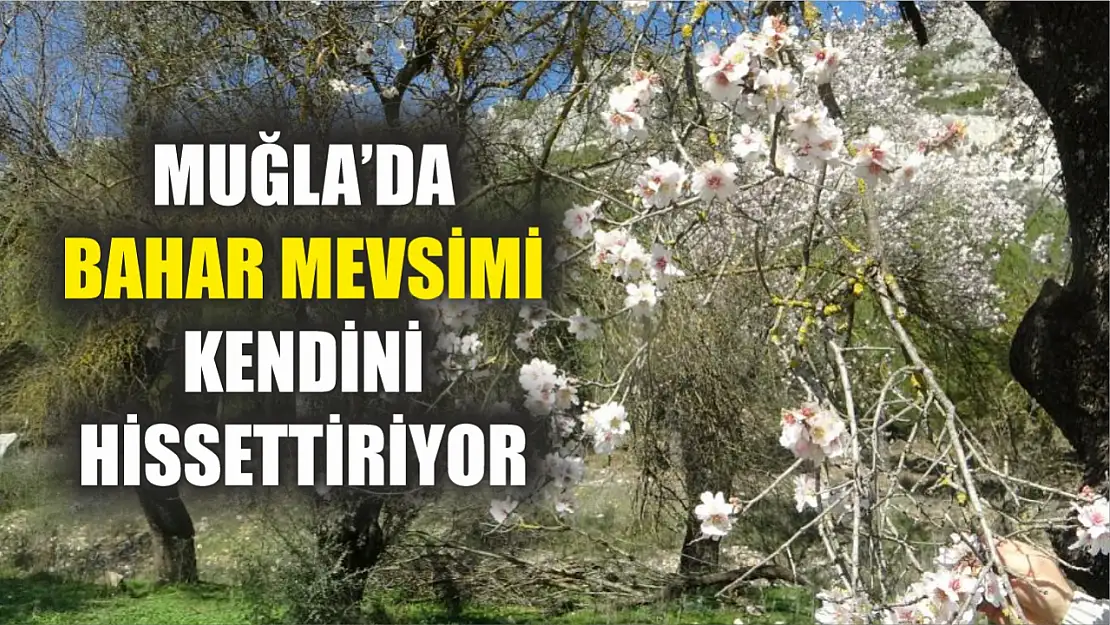 Muğla'da bahar mevsimi kendini hissettiriyor