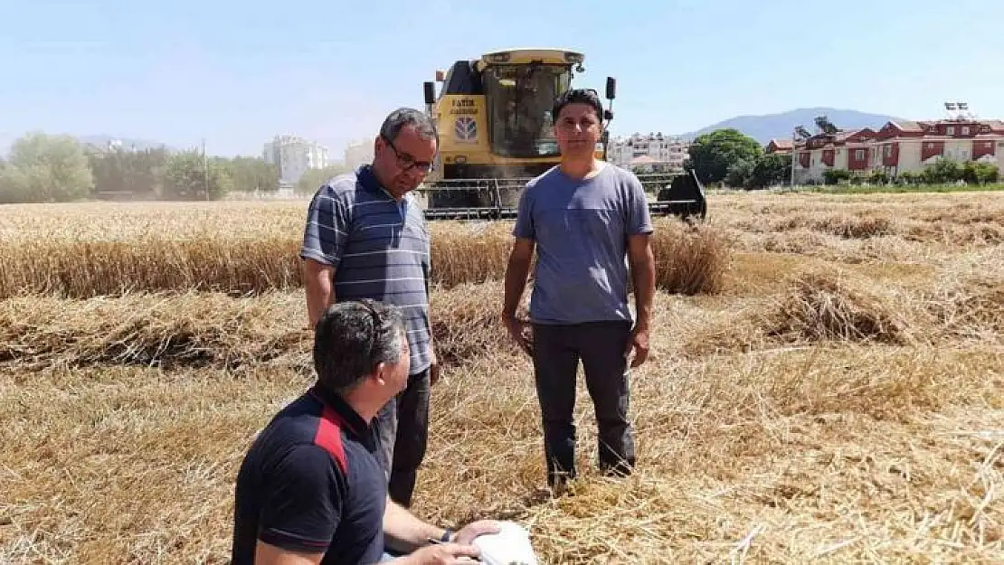 Muğla'da biçerdöverler denetleniyor