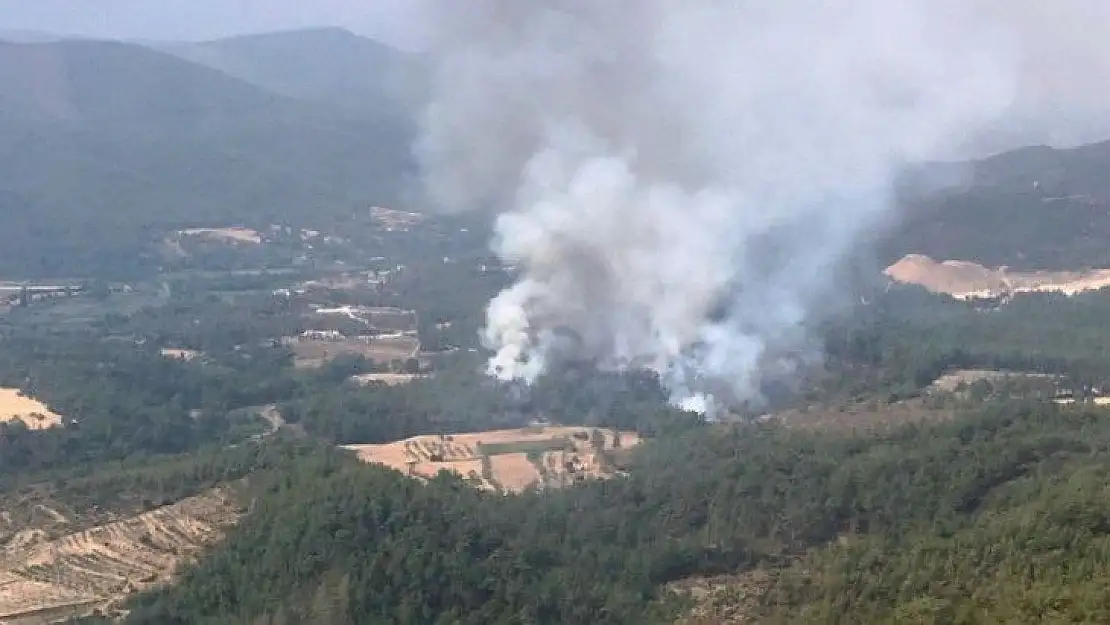 Muğla'da bir yangın daha çıktı