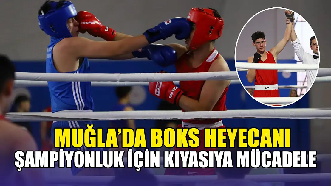 Muğla'da boks heyecanı