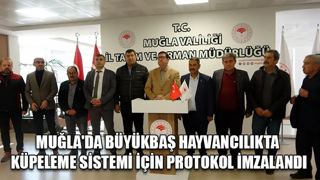 Muğla'da büyükbaş hayvancılıkta küpeleme sistemi için protokol imzalandı