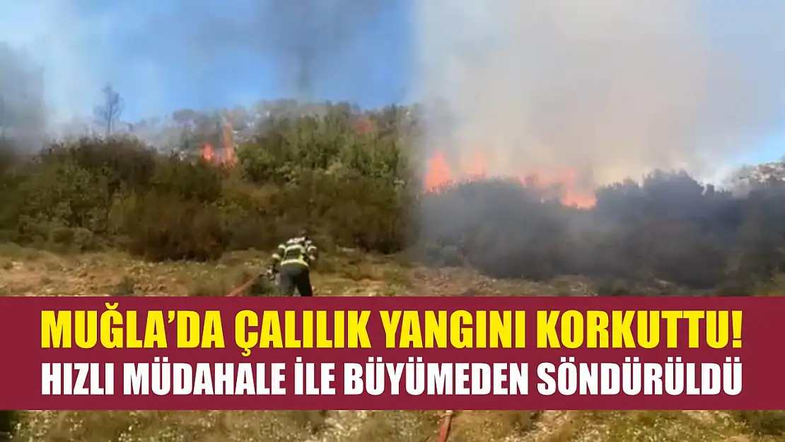 Muğla'da çalılık yangını korkuttu! Hızlı müdahale ile büyümeden söndürüldü