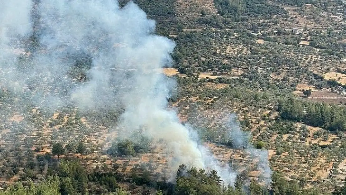 Muğla'da çıkan 10 yıldırım yangını büyümeden söndürüldü