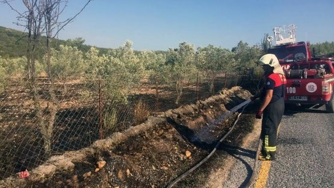 Muğla'da çöplük ve zeytinlik yangınları söndürüldü