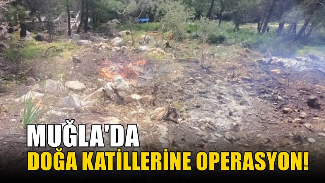 Muğla'da doğa katillerine operasyon