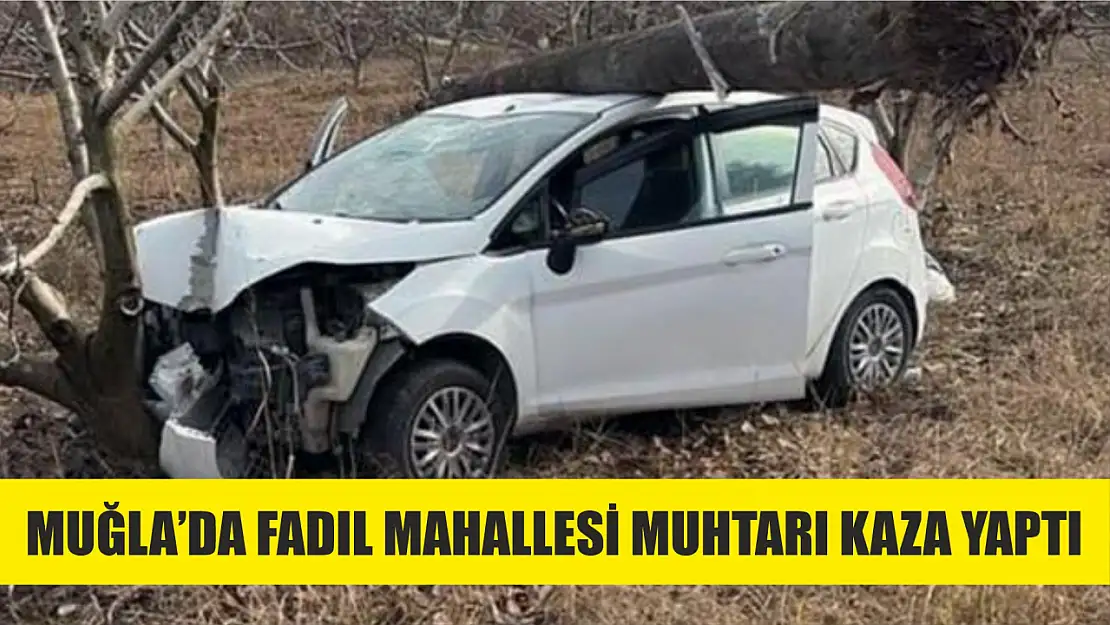 Muğla'da Fadıl Mahallesi Muhtarı Kaza Yaptı