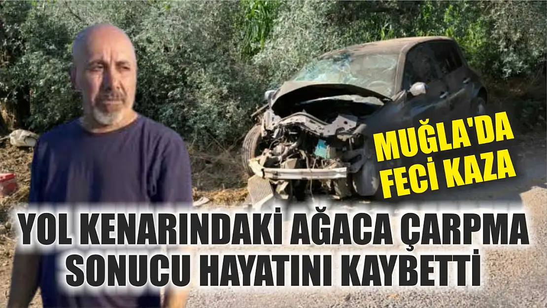 Muğla'da feci kaza: Yol Kenarındaki Ağaca Çarpma Sonucu Hayatını Kaybetti