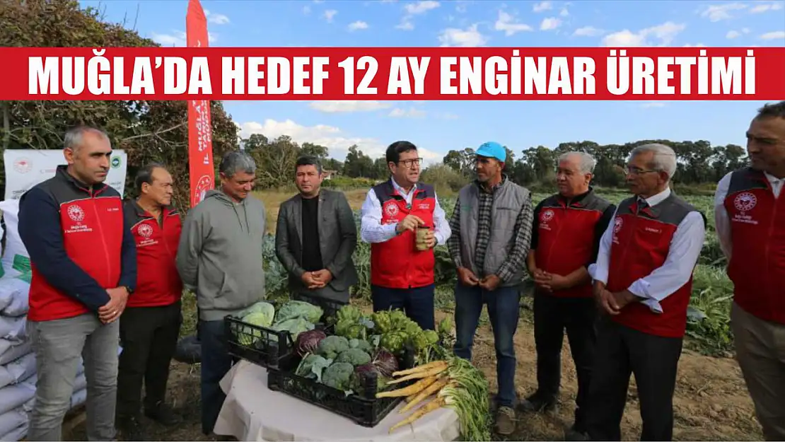 Muğla'da hedef 12 ay Enginar üretimi