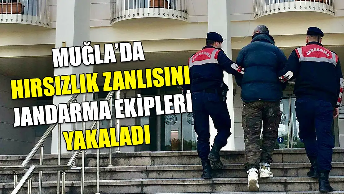 Muğla'da Hırsızlık zanlısını Jandarma ekipleri yakaladı