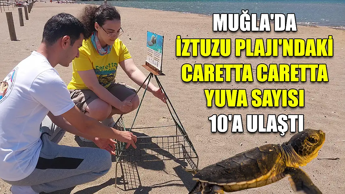 Muğla'da İztuzu Plajı'ndaki caretta caretta yuva sayısı 10'a ulaştı