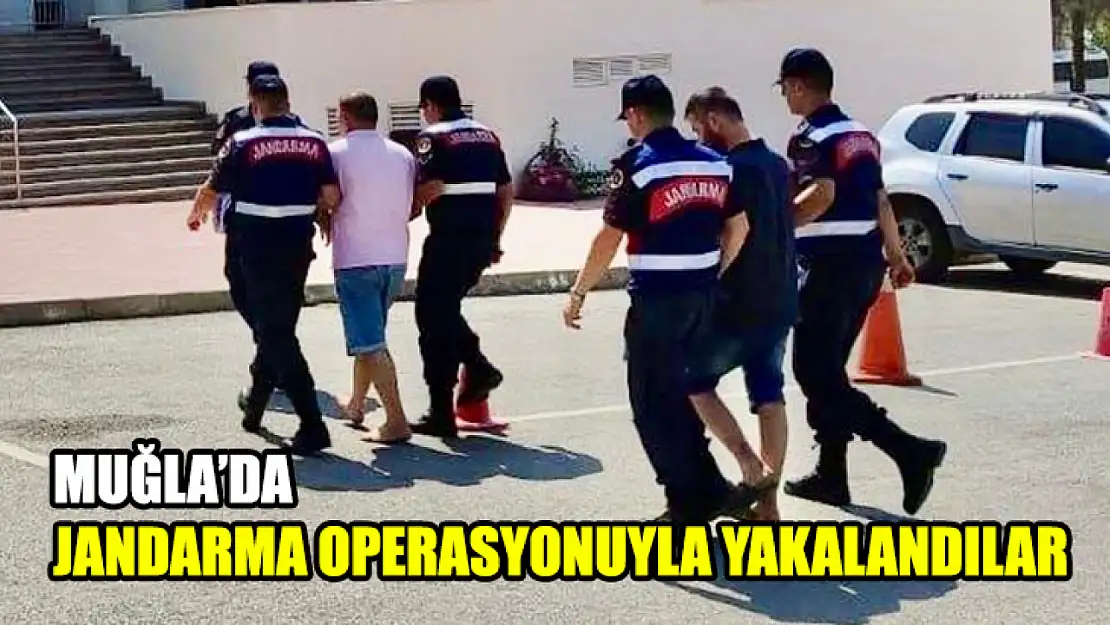 Muğla'da Jandarma Operasyonuyla Yakalandılar