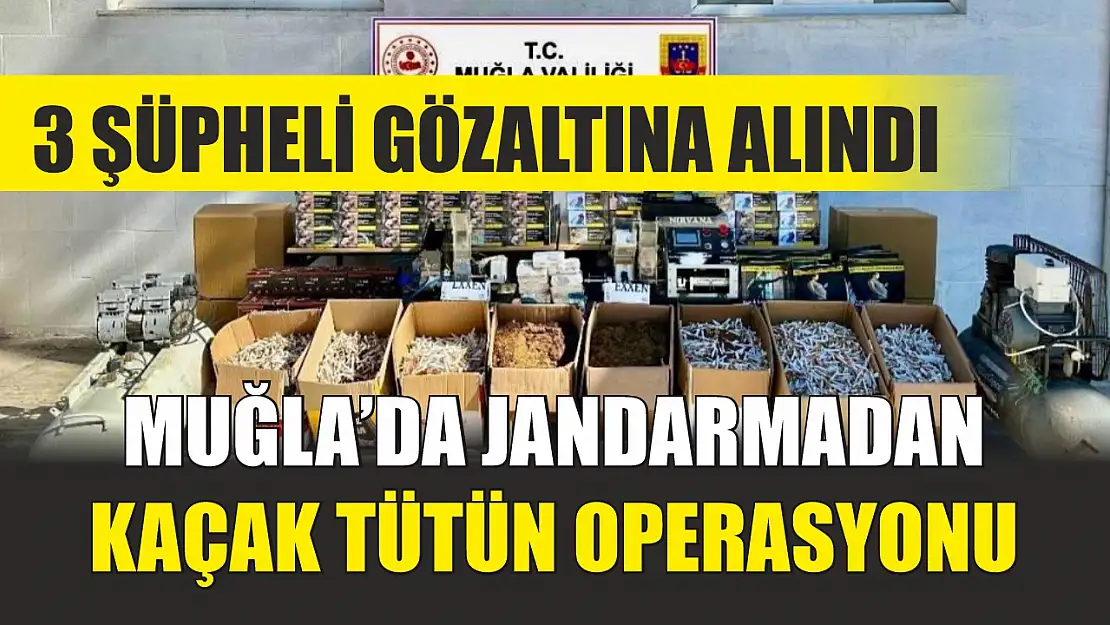 Muğla'da jandarmadan kaçak tütün operasyonu: 3 şüpheli gözaltına alındı