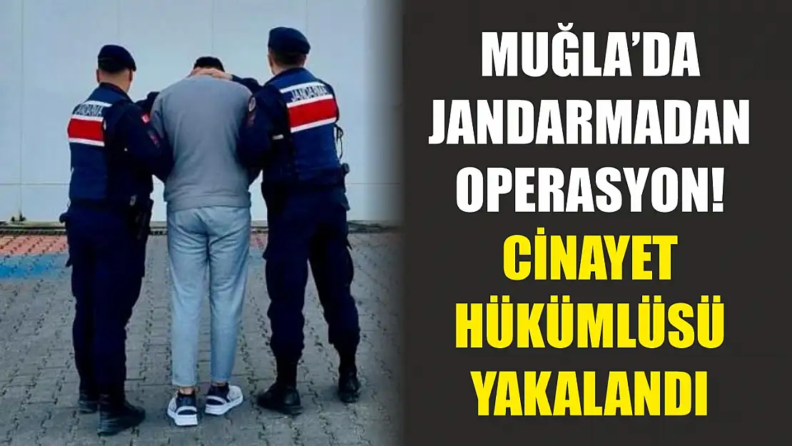 Muğla'da jandarmadan operasyon! Cinayet hükümlüsü yakalandı