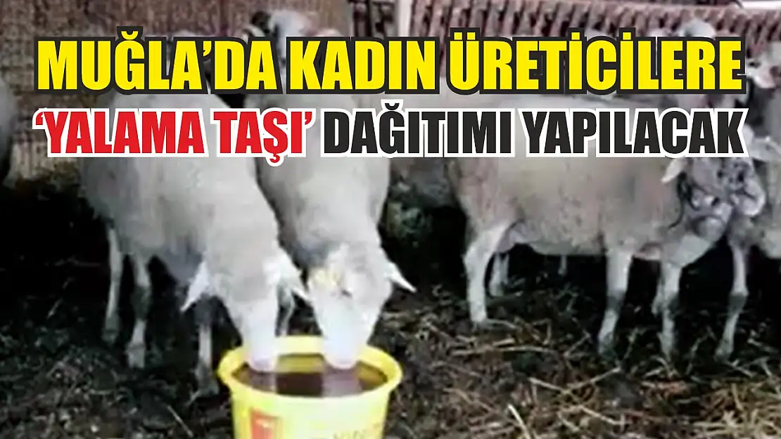 Muğla'da kadın üreticilere 'Yalama Taşı' dağıtımı yapılacak