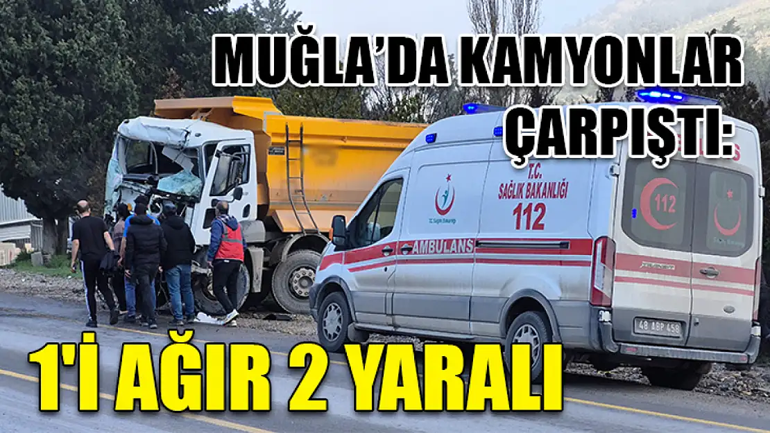 Muğla'da kamyonlar çarpıştı: 1'i ağır 2 yaralı