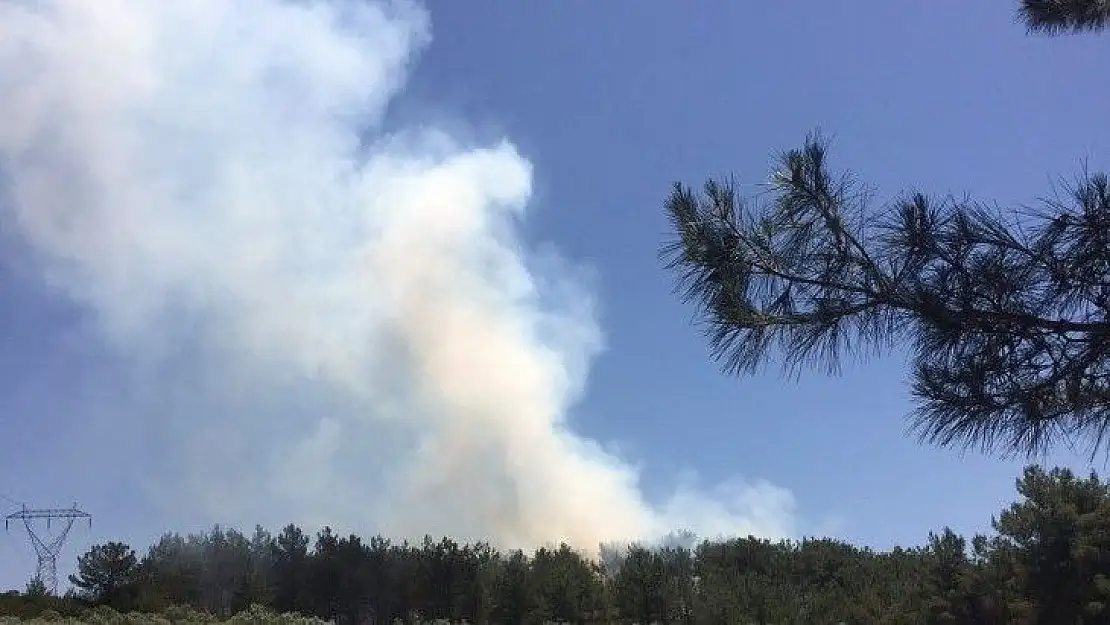 Muğla'da ki orman yangını söndürüldü 