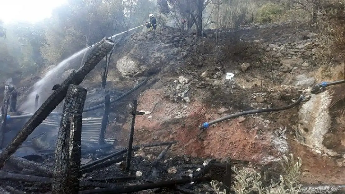 Muğla'da korkunç yangın