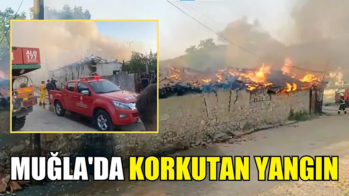 Muğla'da korkutan yangın