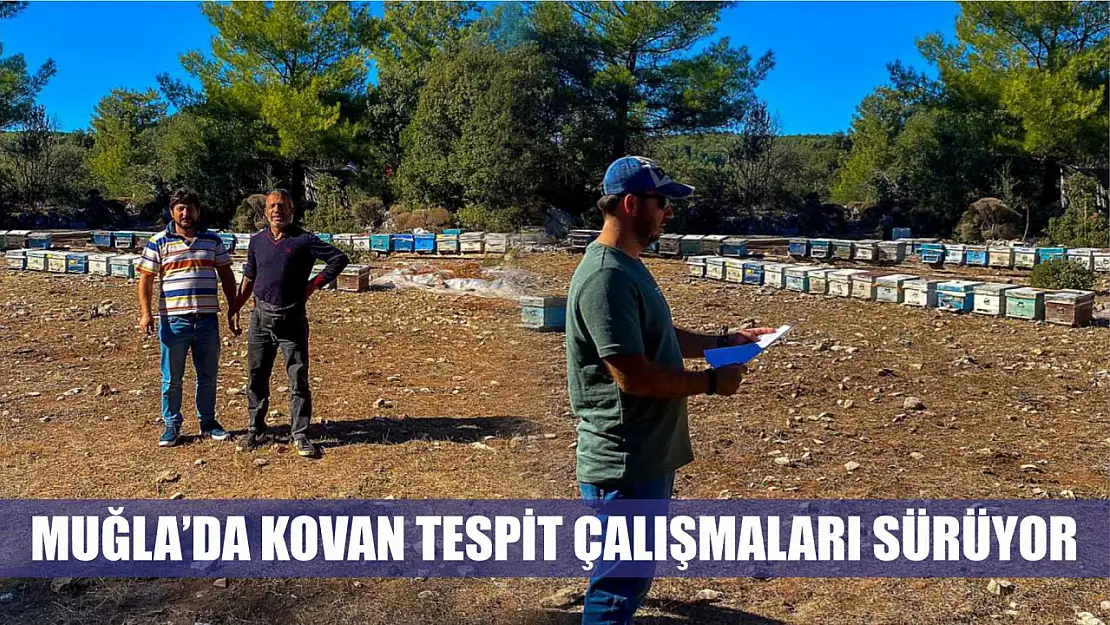 Muğla'da kovan tespit çalışmaları sürüyor