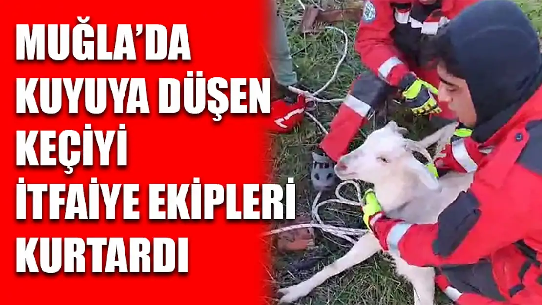 Muğla'da kuyuya düşen keçiyi itfaiye ekipleri kurtardı