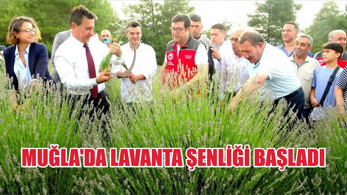 Muğla'da Lavanta Şenliği Başladı