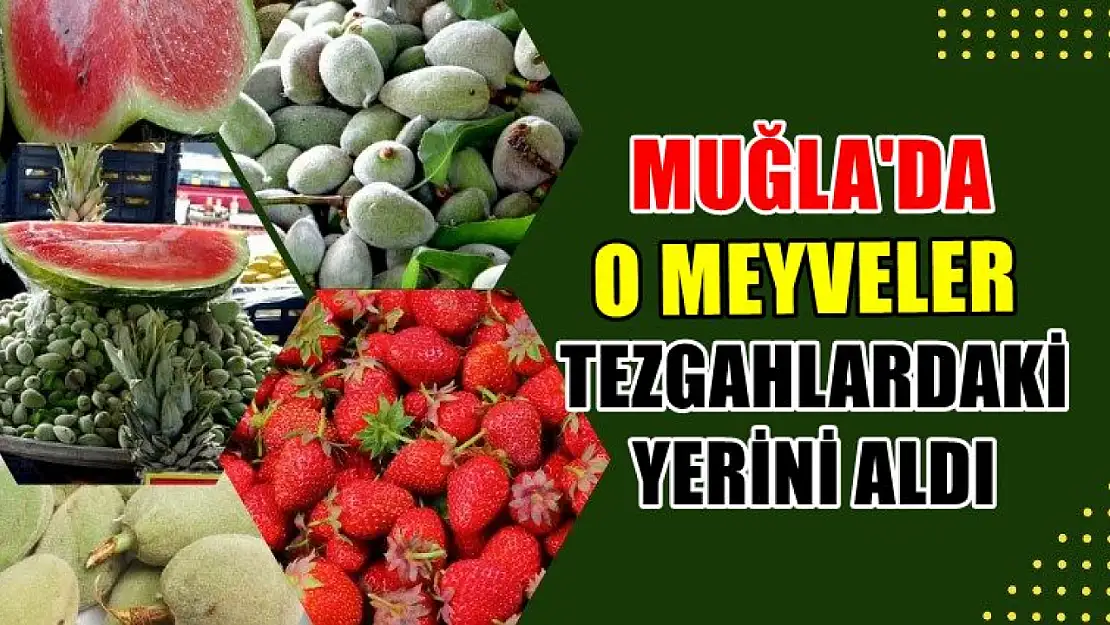 Muğla'da o meyveler tezgahlardaki yerini aldı