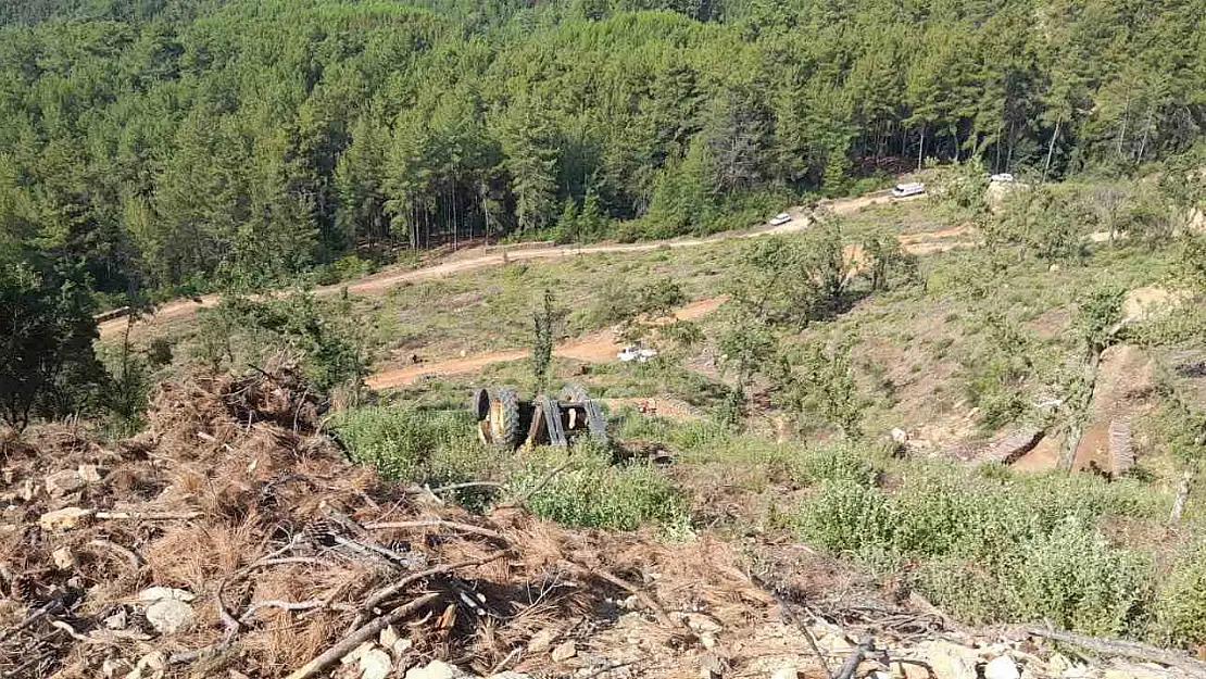 Muğla'da orman kesim alanında iş kazası: 1 ölü