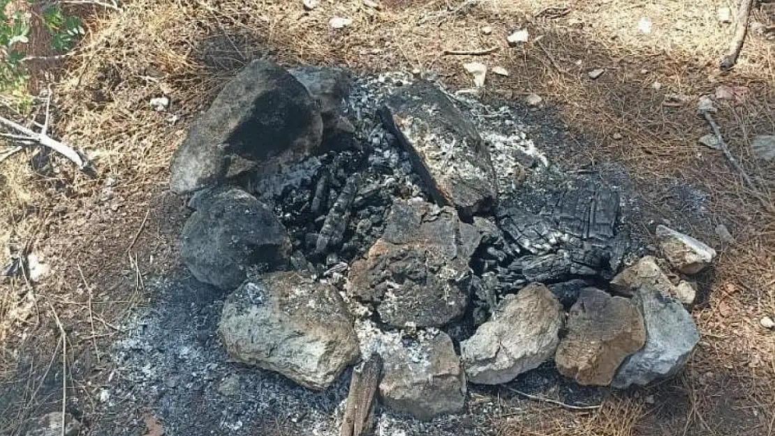 Muğla'da orman yangını  söndürüldü