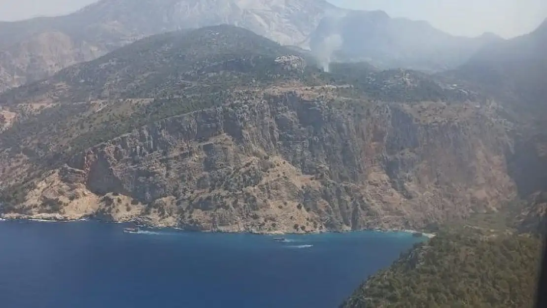 Muğla'da orman yangını