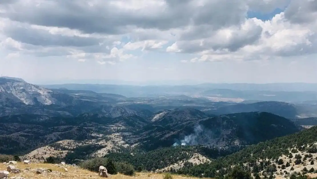 Muğla'da orman yangını