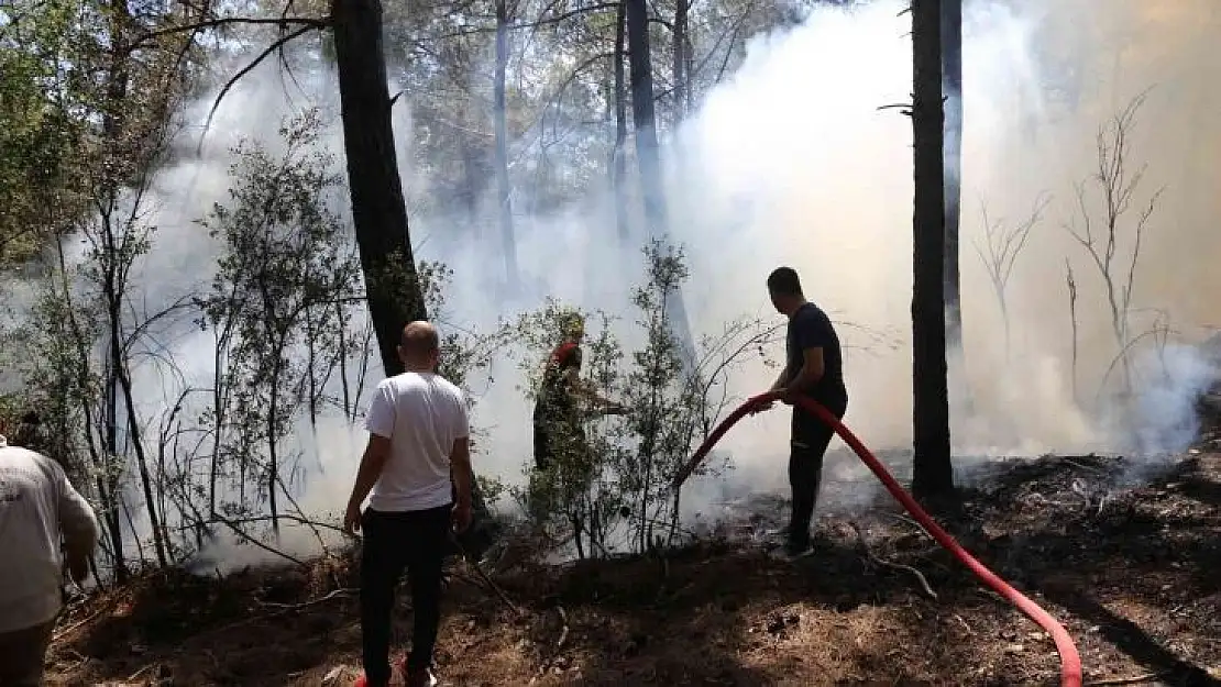 Muğla'da orman yangını