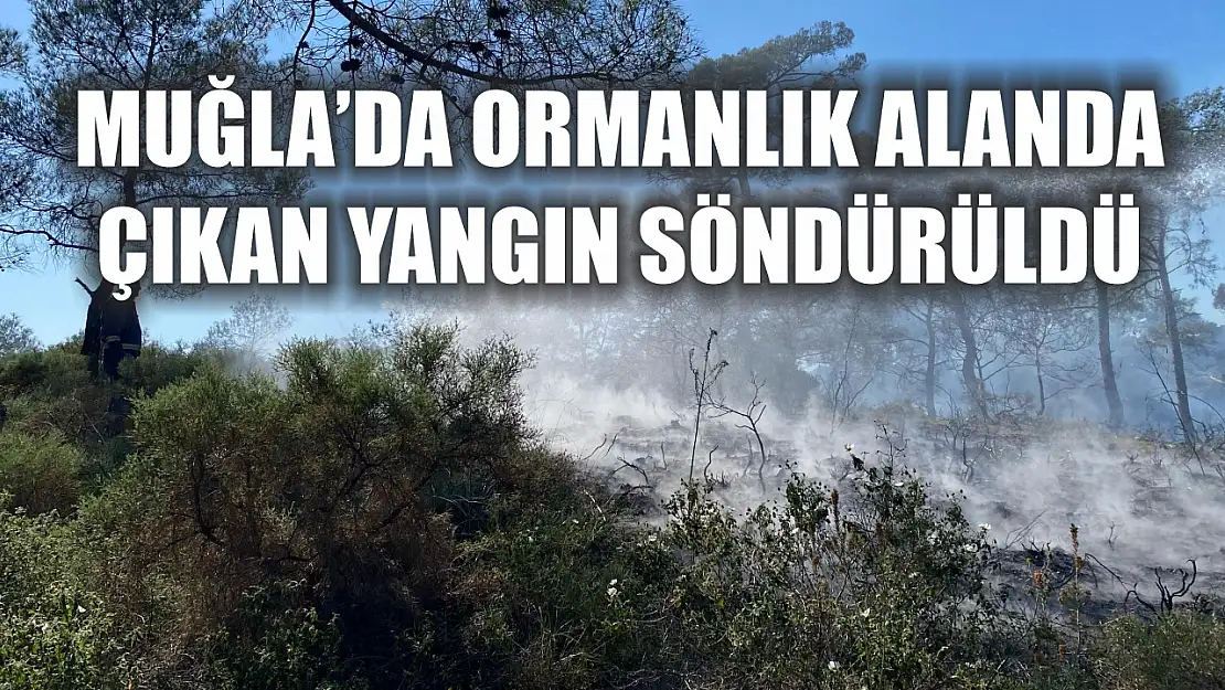 Muğla'da ormanlık alanda çıkan yangın söndürüldü