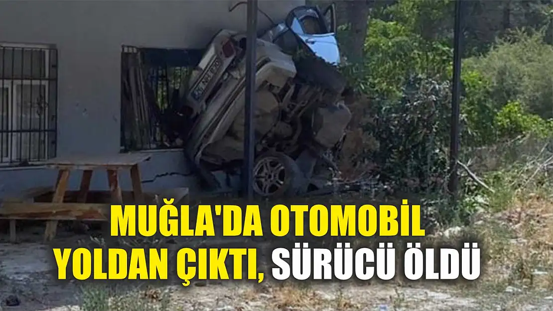 Muğla'da otomobil yoldan çıktı, sürücü öldü