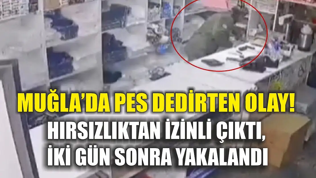 Muğla'da pes dedirten olay! Hırsızlıktan izinli çıktı, iki gün sonra yakalandı