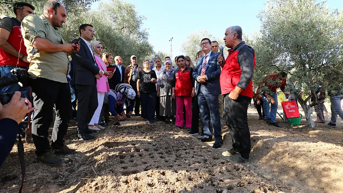 Muğla'da salep dikim alanları büyüyor