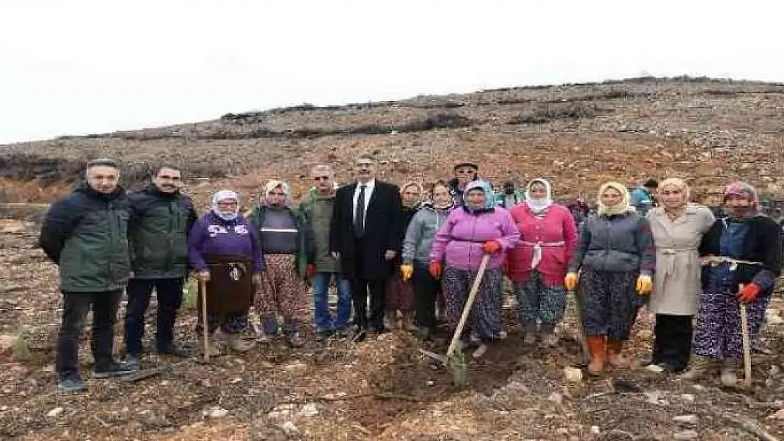 Muğla'da Şehit Yakınları Şehitler anısına fidan dikti