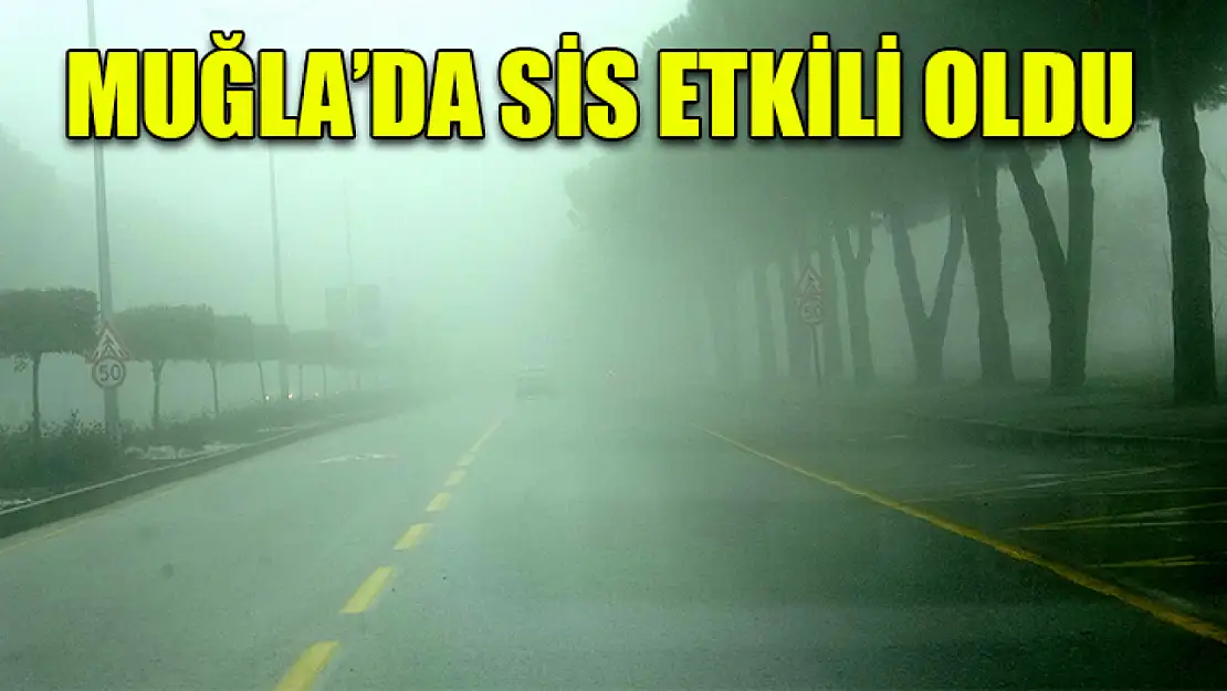 Muğla'da sis etkili oldu