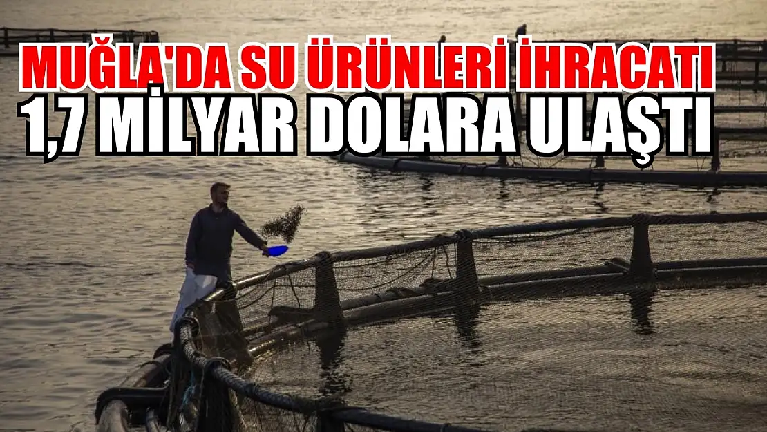 Muğla'da Su Ürünleri İhracatı 1,7 Milyar Dolara Ulaştı