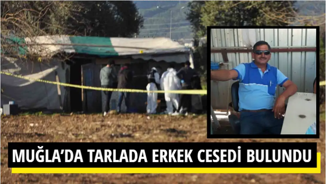 MUĞLA'DA TARLADA ERKEK CESEDİ BULUNDU