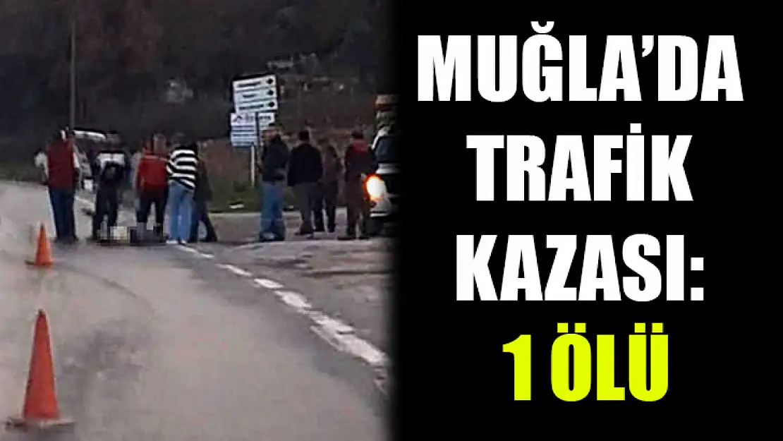 Muğla'da trafik kazası: 1 ölü