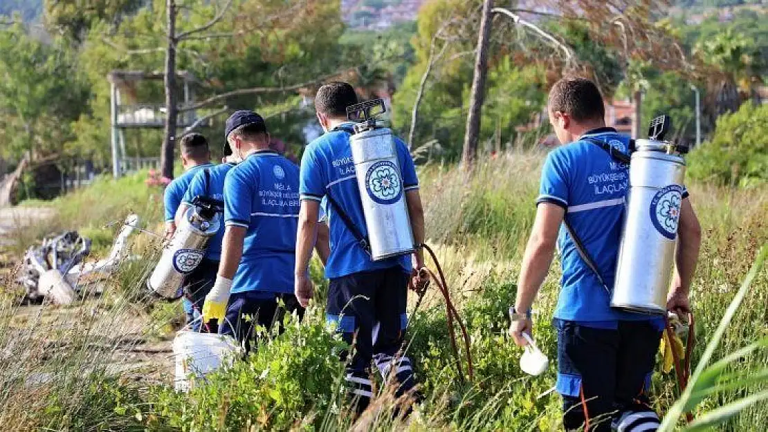 Muğla'da vektör ile mücadelede devam ediyor