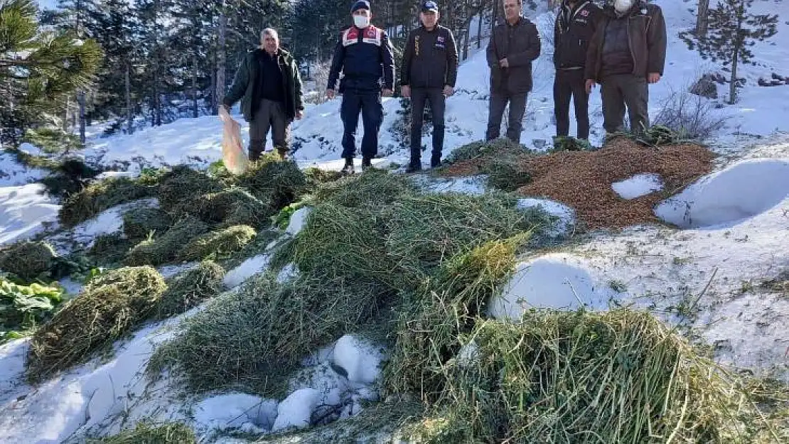 Muğla'da yaban hayvanları unutulmadı