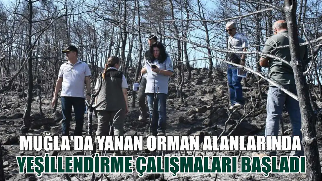 Muğla'da yanan orman alanlarında yeşillendirme çalışmaları başladı