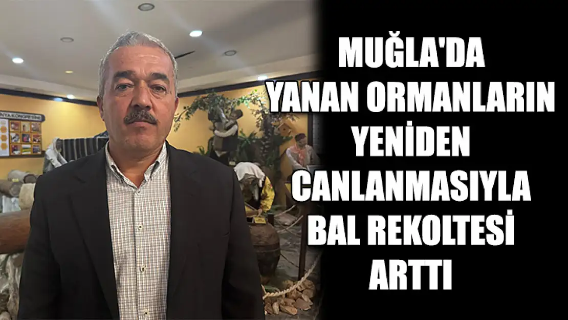 Muğla'da yanan ormanların yeniden canlanmasıyla bal rekoltesi arttı